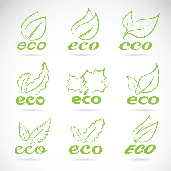 Folhas verdes design. Conjunto de ícones ecológicos. Verde eco ícones distintivo vec — Vetor de Stock