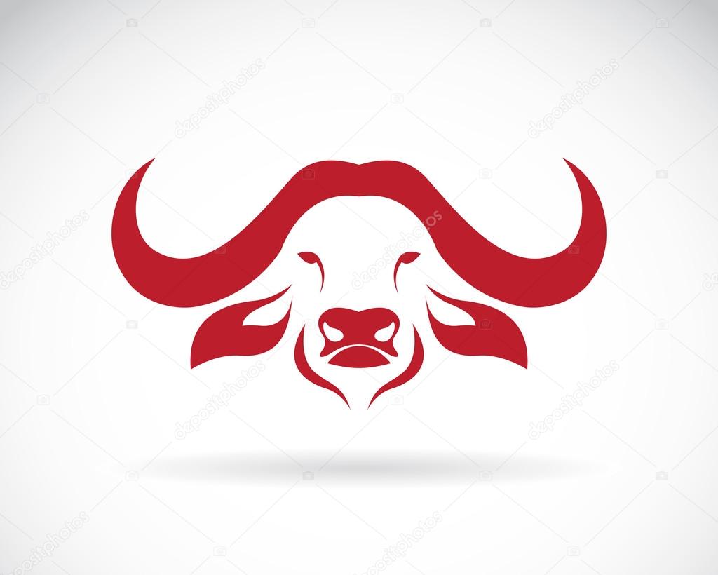 Vector image of an buffalo head on white background