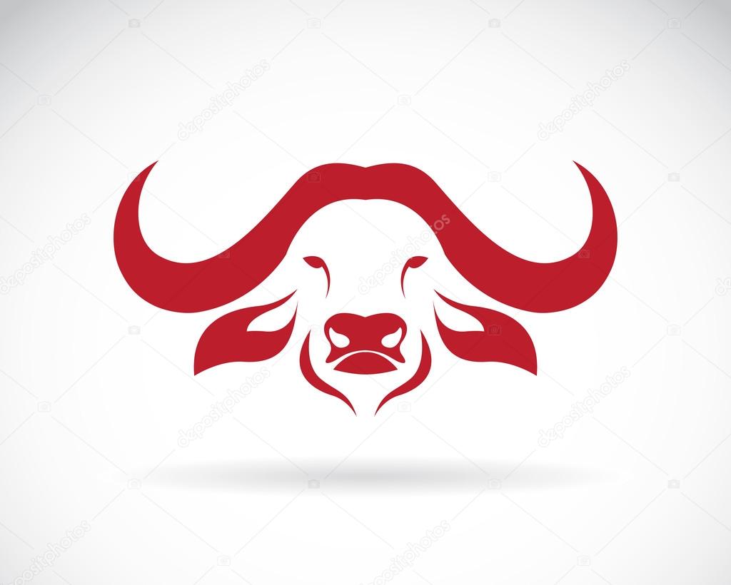 Vector image of an buffalo head on white background