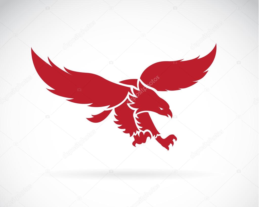 Vector image of an eagle design on white background