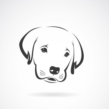 Beyaz arka planda Labrador köpek suratının vektör görüntüsü. Köpek.