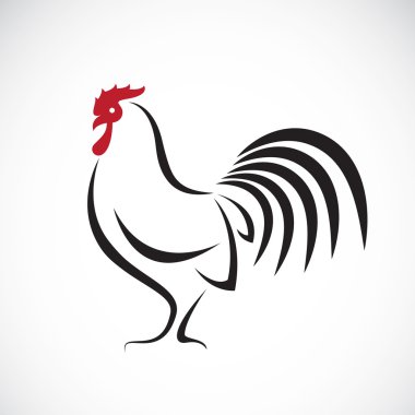 Vector image of an cock design on white background clipart