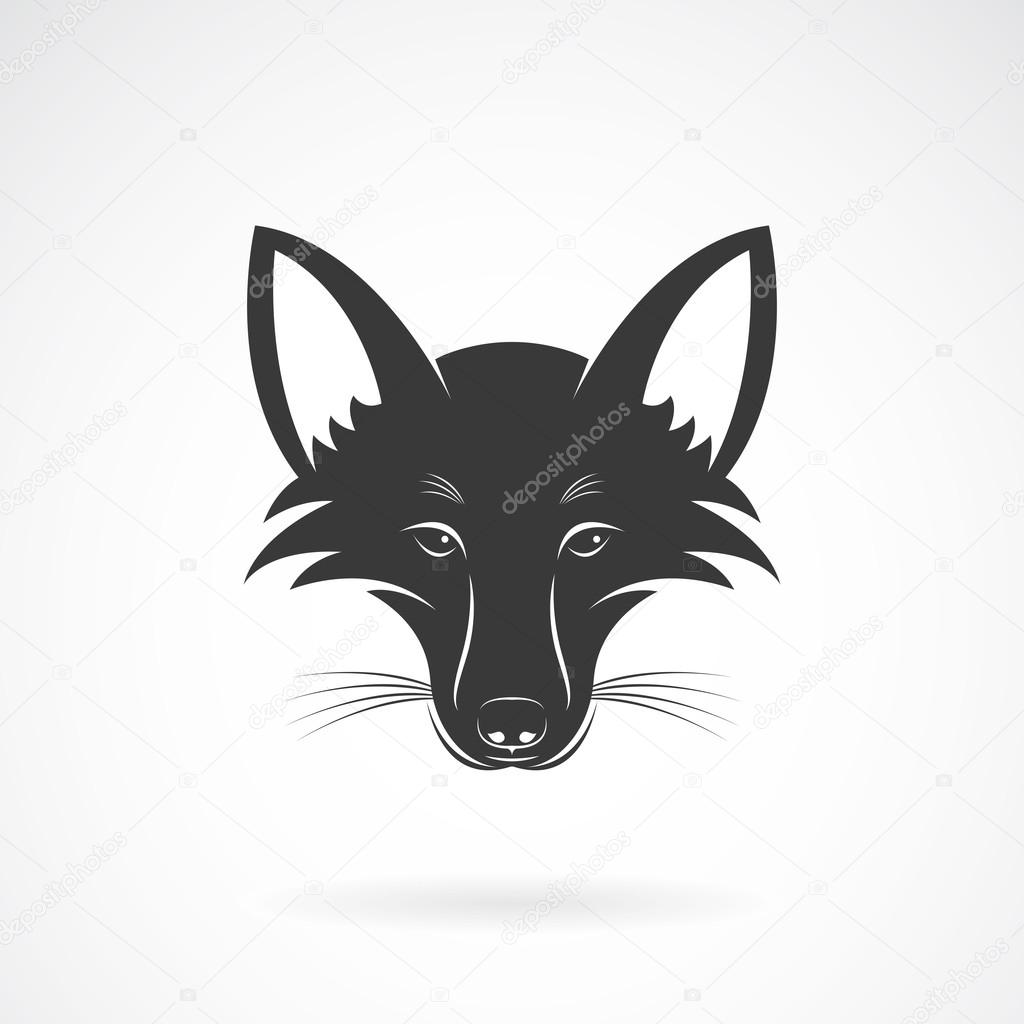 Vector image of an fox face design on white background