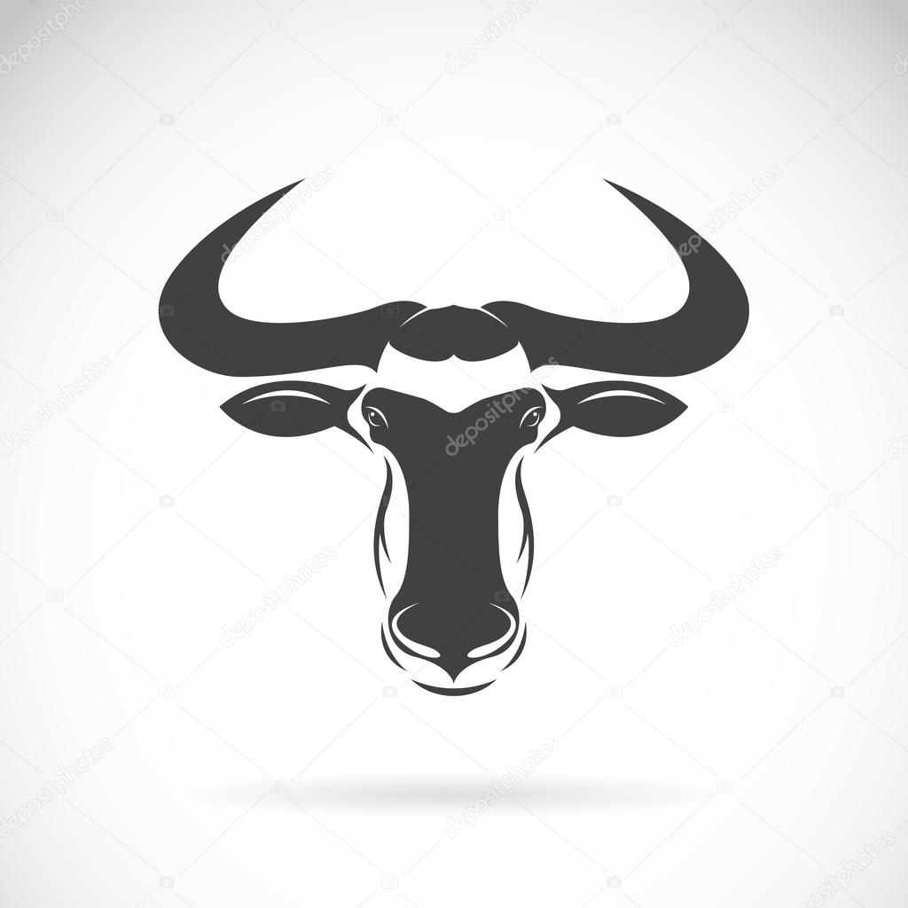 Vector image of an wildebeest head design on white background