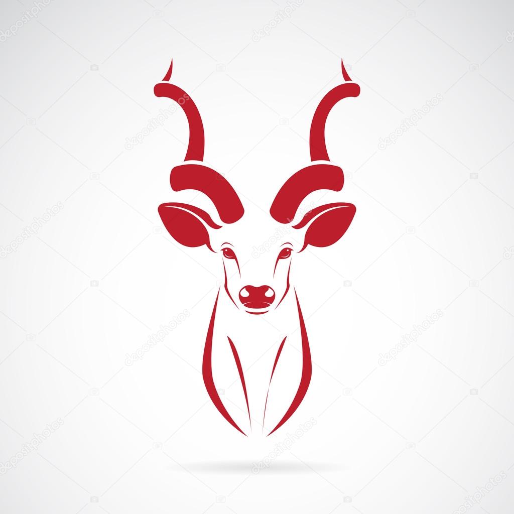 Vector image of an kudu antelope horns on white background