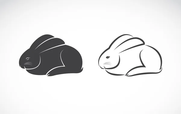 Immagine vettoriale di un disegno di coniglio su sfondo bianco — Vettoriale Stock