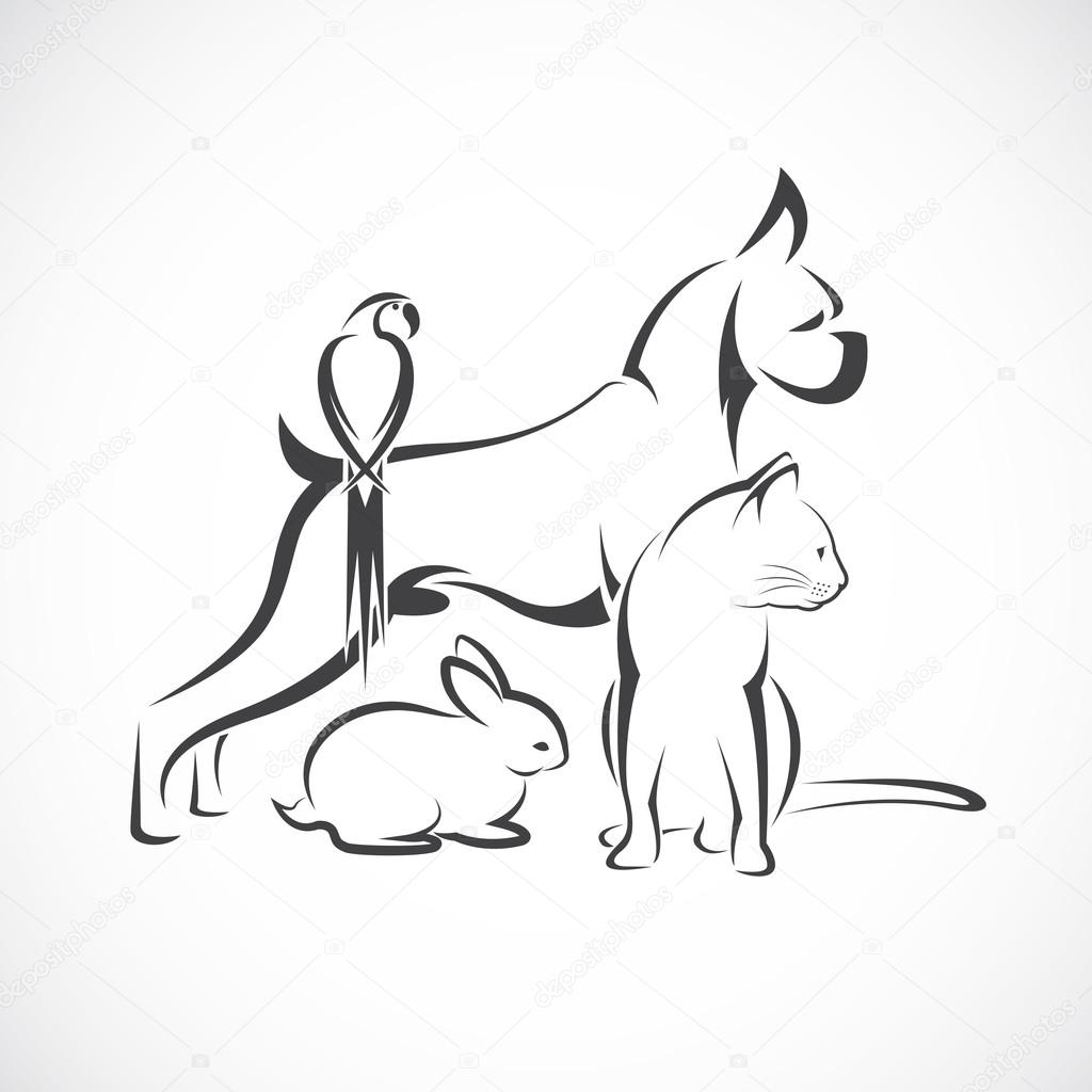 Vector group of pets - Dog, cat, bird, rabbit, isolated on white background