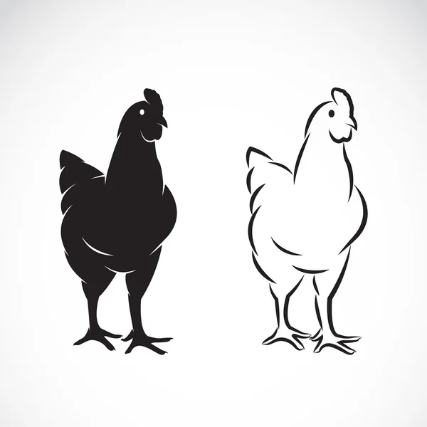 Immagine vettoriale di un pollo su sfondo bianco — Vettoriale Stock