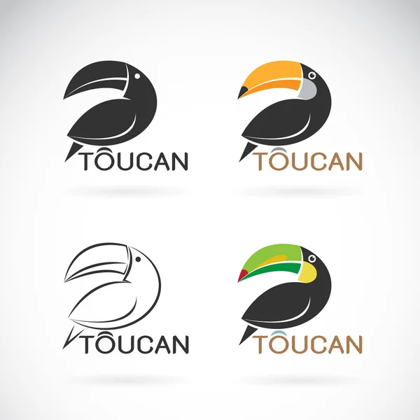 Image vectorielle d'un motif d'oiseau toucan sur fond blanc — Image vectorielle