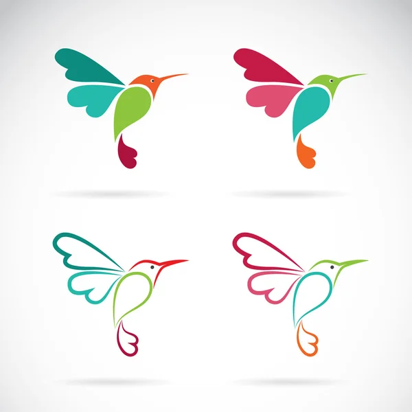 Imagen vectorial de un diseño de colibrí sobre fondo blanco, Logo , — Vector de stock