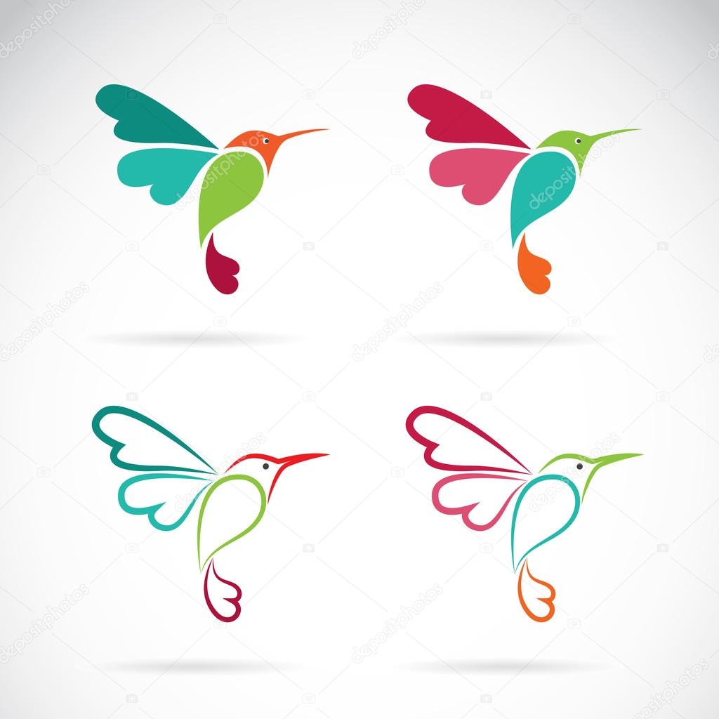 Vector image of an hummingbird design on white background, Logo, Symbol