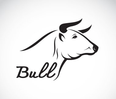 Beyaz arkaplanda bir boğanın vektör görüntüsü