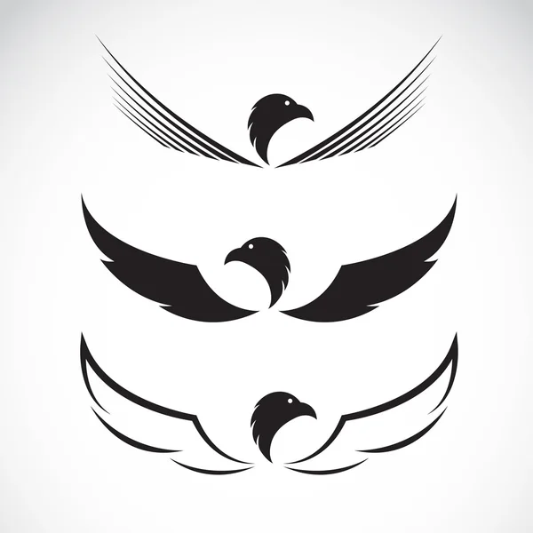 Imagen vectorial de un diseño de águila sobre fondo blanco — Vector de stock