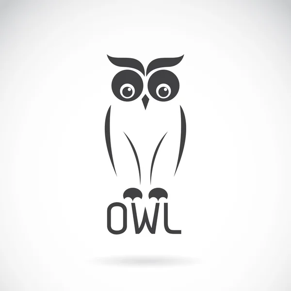 Vector images of owl design on a white background. — Stock Vector