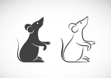 Vector image of an rat design on white background clipart