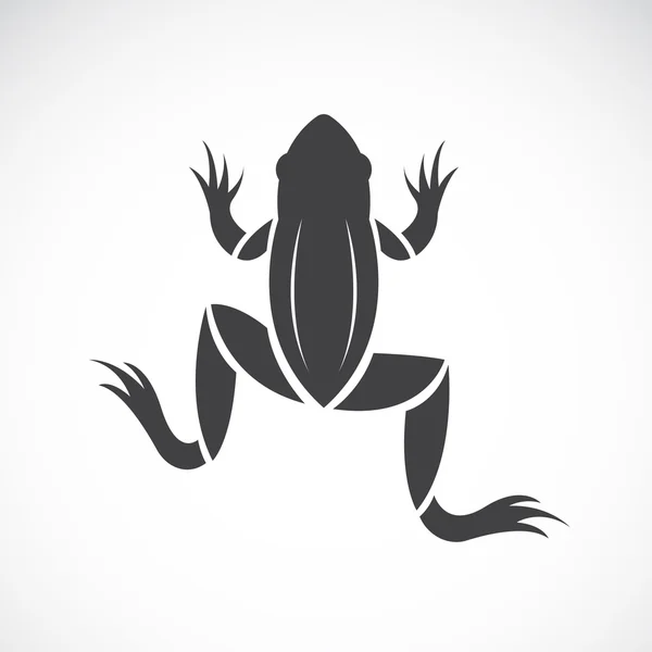 Векторное изображение лягушки на белом фоне — стоковый вектор