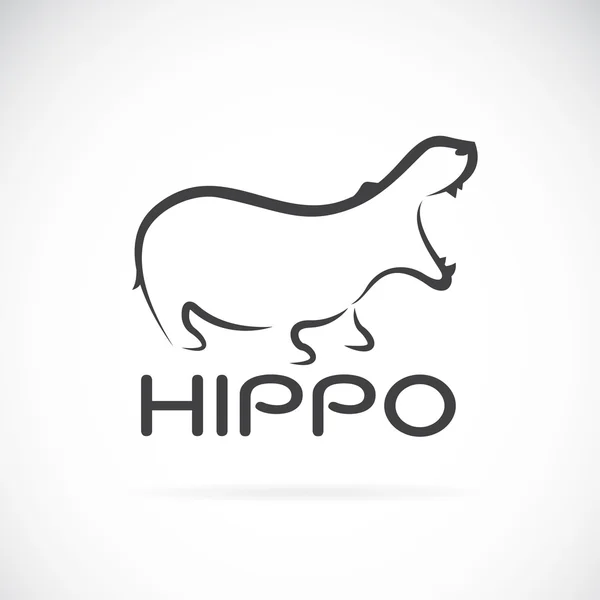 Vector afbeelding van een hippo ontwerp op witte achtergrond. — Stockvector