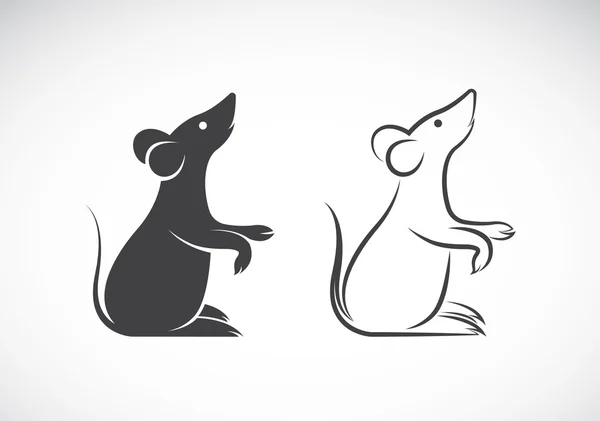 Vector image of an rat design on white background — Stock Vector