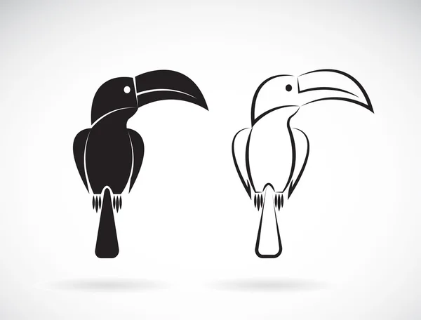 Image vectorielle d'un motif d'oiseau toucan sur fond blanc — Image vectorielle