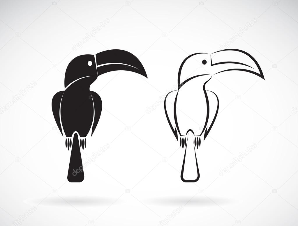 Vector image of an toucan bird design on white background