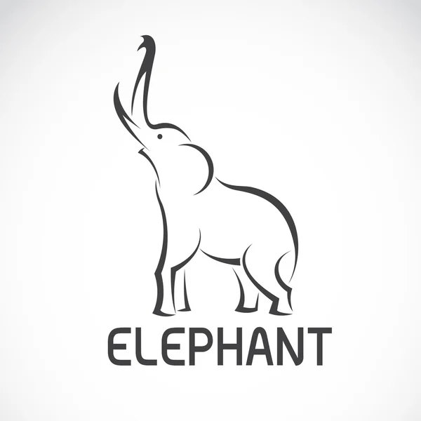 Imagens vetoriais de design de elefante em um fundo branco. — Vetor de Stock