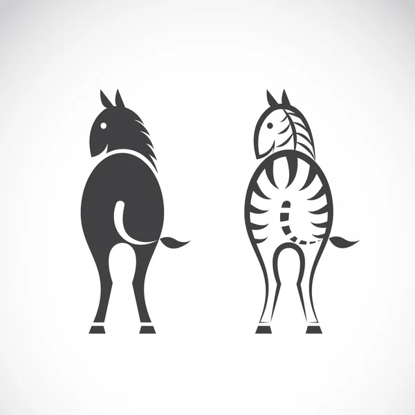 Vektorbilder von Pferd und Zebra auf weißem Hintergrund. — Stockvektor