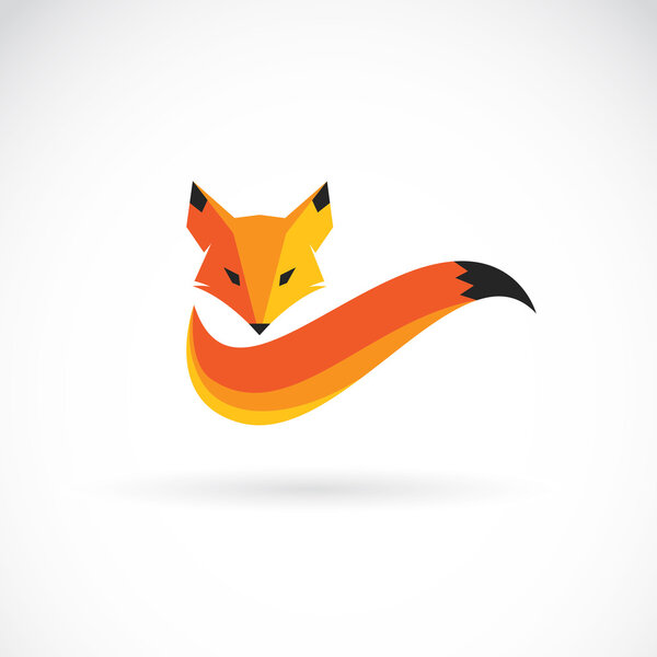 Vector image of an fox design on white background