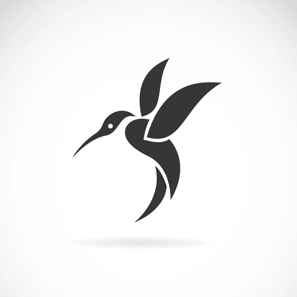 Imagen vectorial de un diseño de colibrí sobre fondo blanco — Vector de stock