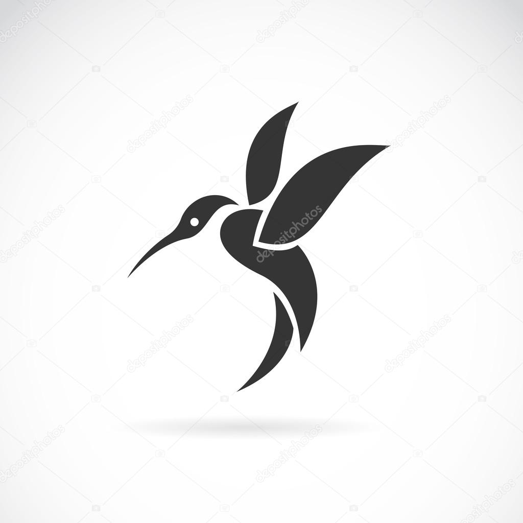 Vector image of an hummingbird design on white background