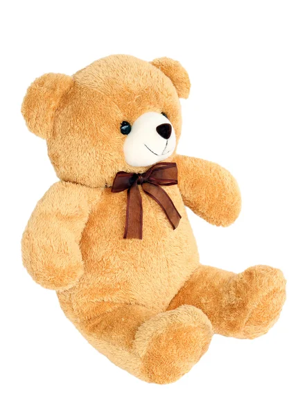 Image of toy teddy bear on white background — Stock Photo, Image