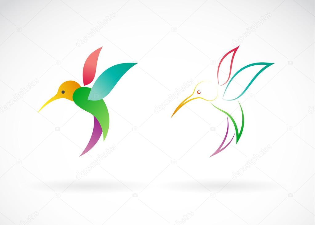 Vector image of an hummingbird design on white background, / Vector Hummingbird for your desig.