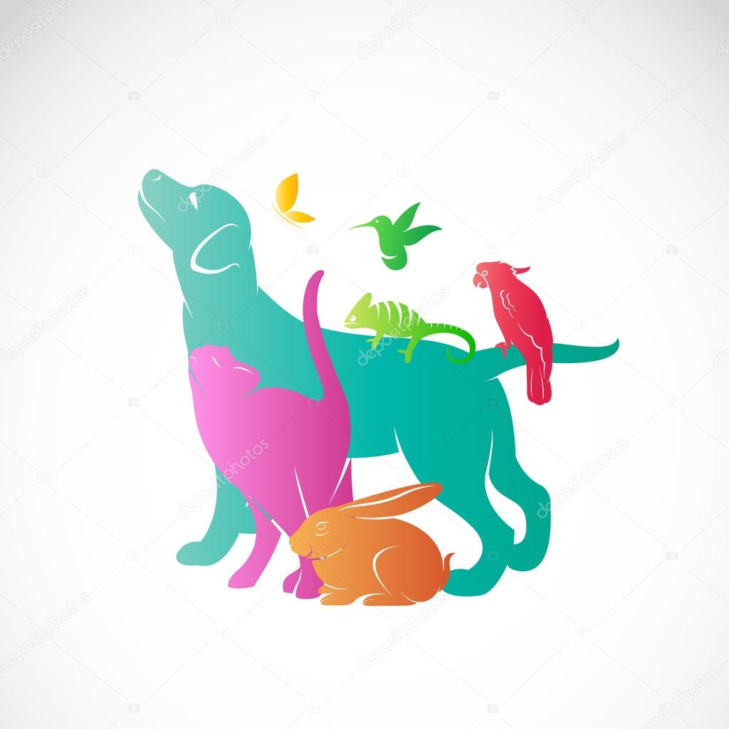 Vector group of pets - Dog, cat, parrot, chameleon, rabbit, butterfly, hummingbird isolated on white background, / Vector pets for your design.