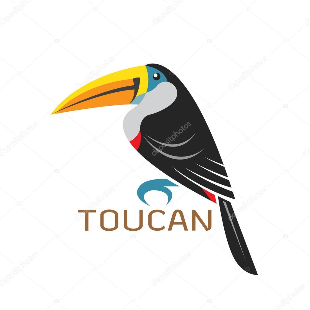 Vector images of toucan design on a white background, Vector toucan for your design