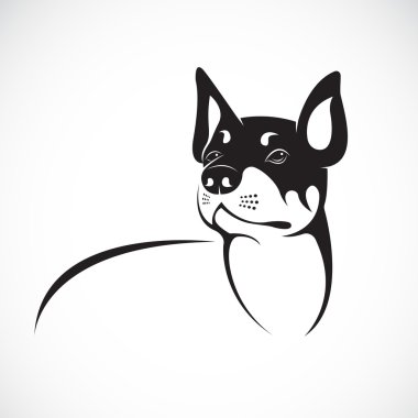 Beyaz zemin üzerinde bir chihuahua köpek vektör görüntüsü. Vektör köpek