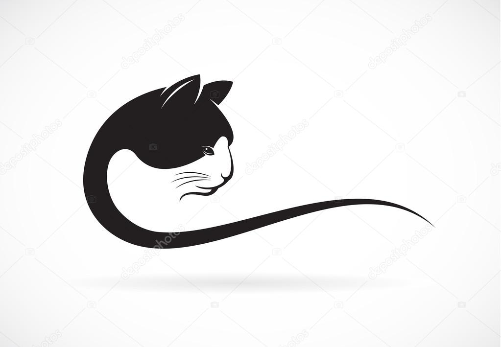 Vector image of an cat face design on white background, Vector cat head for your design