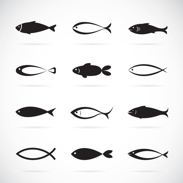Set of vector fish icons on white background, Vector fish icons 