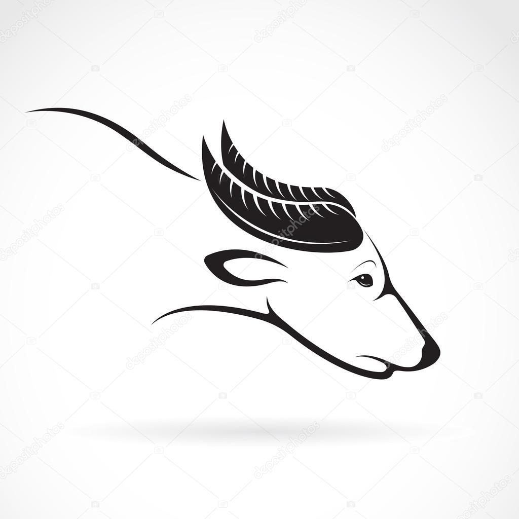 Vector image of an buffalo design on white background. Vector buffalo for your design.