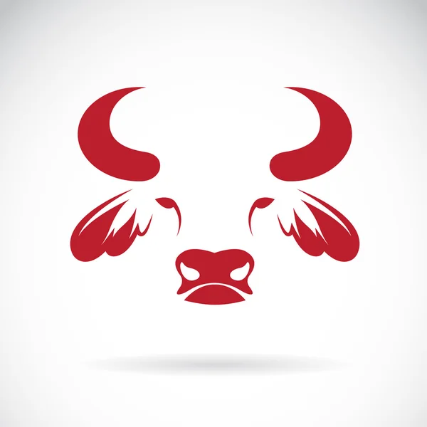 Vector of bull face design on white background. — Stock Vector