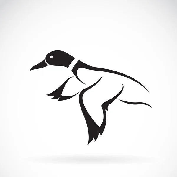 Vector of flying wild duck design on white background. Royalty Free Stock Illustrations