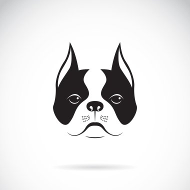 Beyaz arka planda bir köpek suratının vektörü. Bulldog. 
