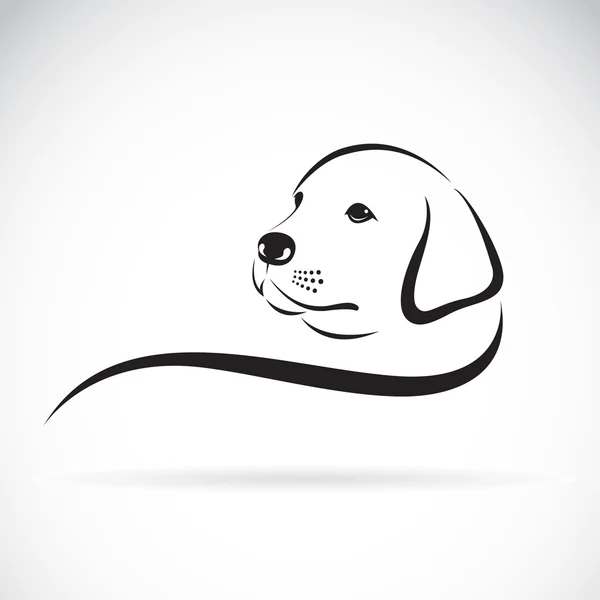 Vecteur d'une tête de labrador de chien sur fond blanc. — Image vectorielle