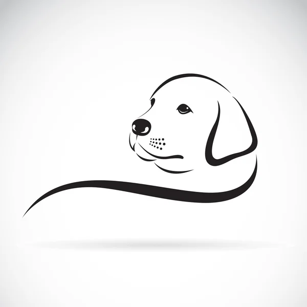 Vector de cabeza de perro labrador sobre fondo blanco. — Archivo Imágenes Vectoriales