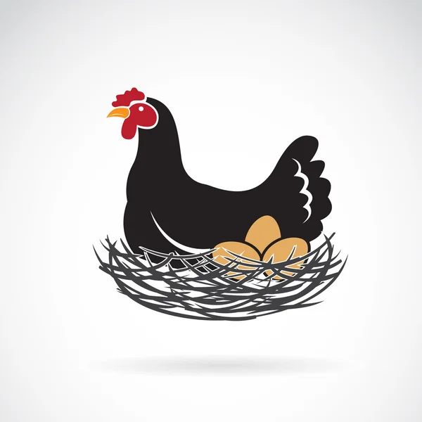 Vector of hen laying eggs in its nest on white background. — Stock Vector