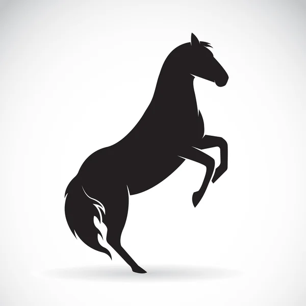 Vettore di un cavallo su sfondo bianco — Vettoriale Stock