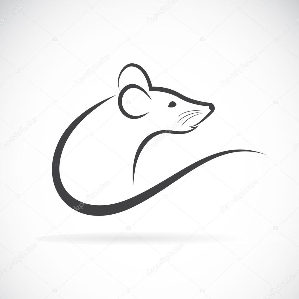 Vector of a rat design on a white background.