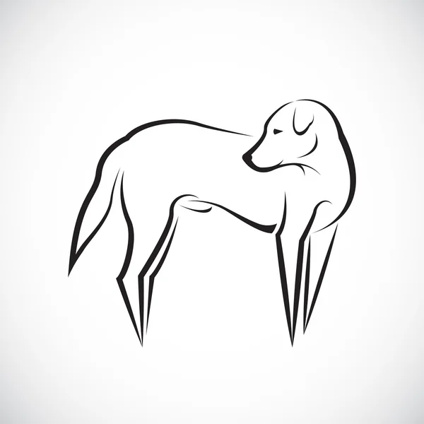 Vetor de um cão em fundo branco — Vetor de Stock