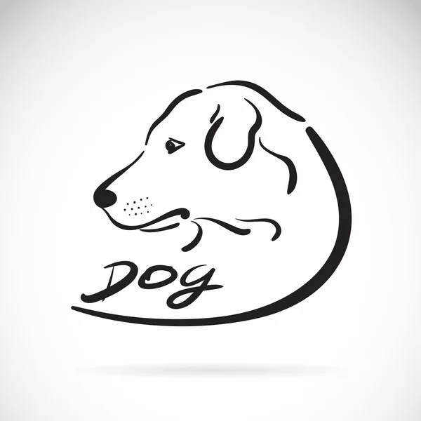 Vector de un logotipo de cabeza de perro sobre fondo blanco. Icono perro labrador — Vector de stock