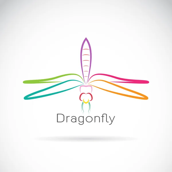 Διάνυσμα του dragonfly σε λευκό φόντο — Διανυσματικό Αρχείο