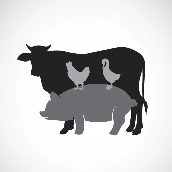 Vektorgruppe von Tierfarm-Etiketten - Kuh, Schwein, Huhn, Ente — Stockvektor