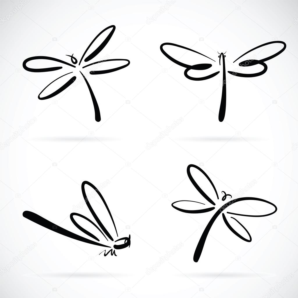 Vector group of dragonfly sketch on white background